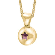 9ct Yellow Gold Blue John Star Disc Necklace