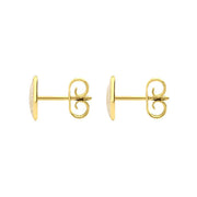 9ct Yellow Gold Coquina 8 x 6mm Classic Medium Oval Stud Earrings, E006.