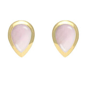 9ct Yellow Gold Pink Mother of Pearl Small Teardrop Stud Earrings. E768.